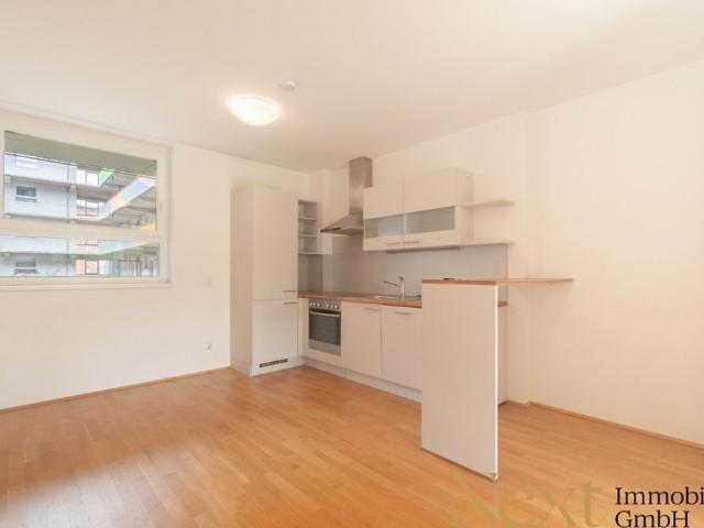Apartment mieten in Altstadtviertel, Linz