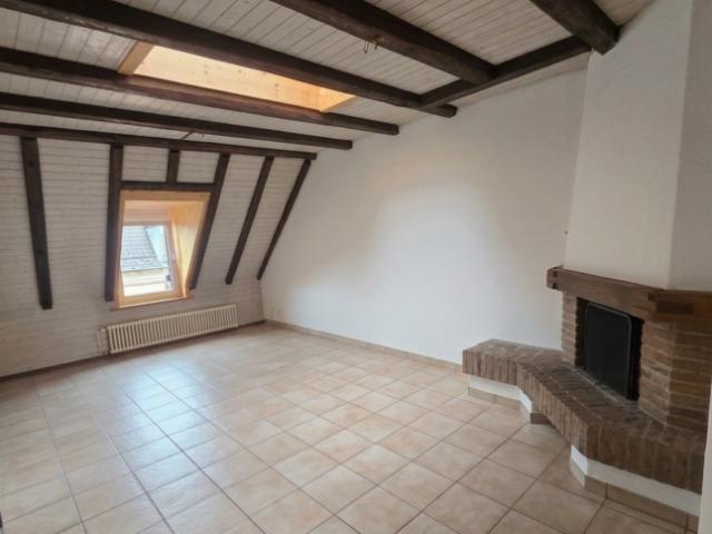 Apartment mieten in Einigen, Zürich
