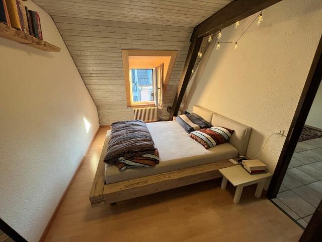 Apartment mieten in Einigen, Zürich