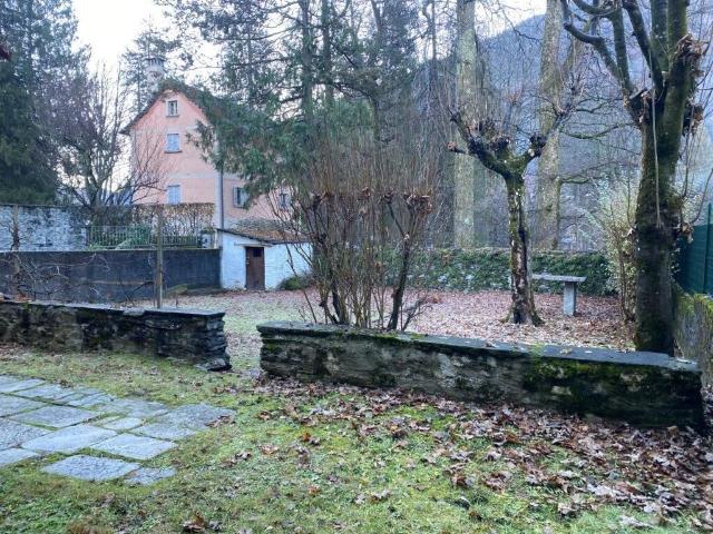 Studio kaufen