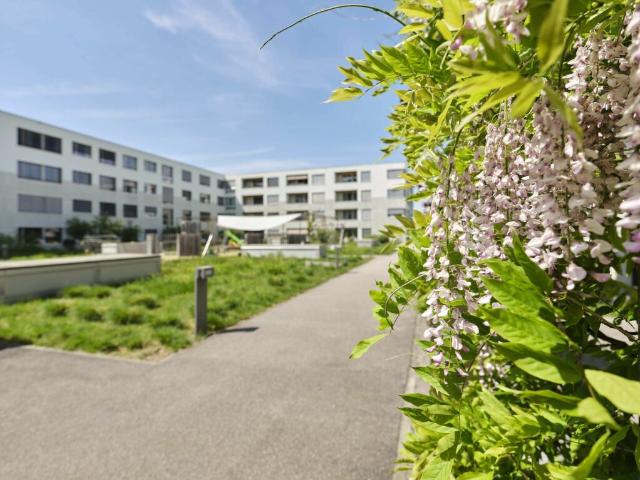 Immobilie mieten in Bern