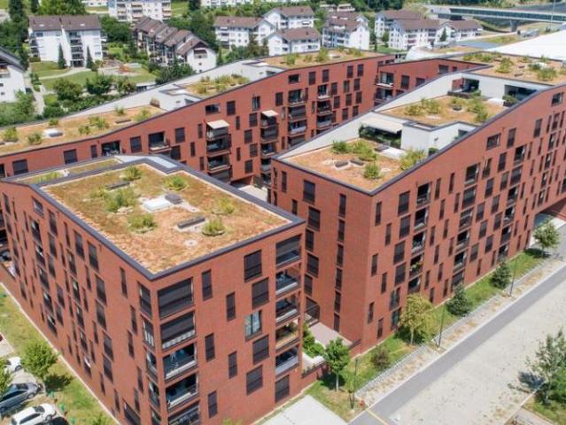 Apartment mieten in Ebikon, Lü