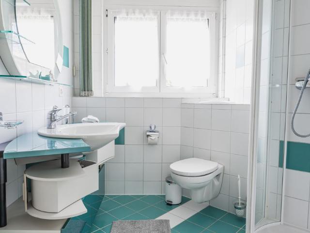 Apartment mieten in Hünenberg, Zug