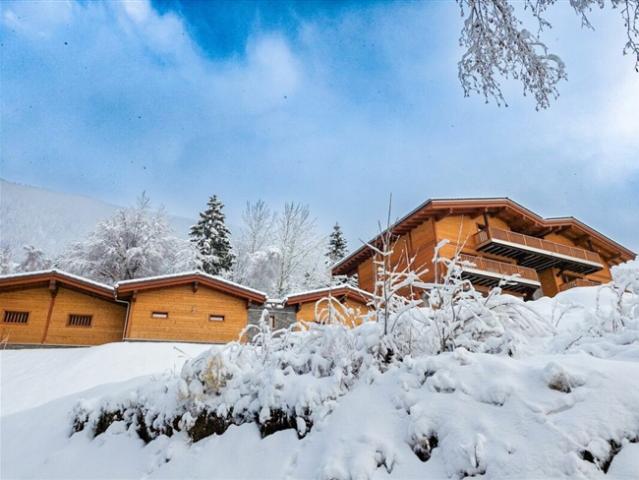 Wohnung kaufen in Saxon, Wallis