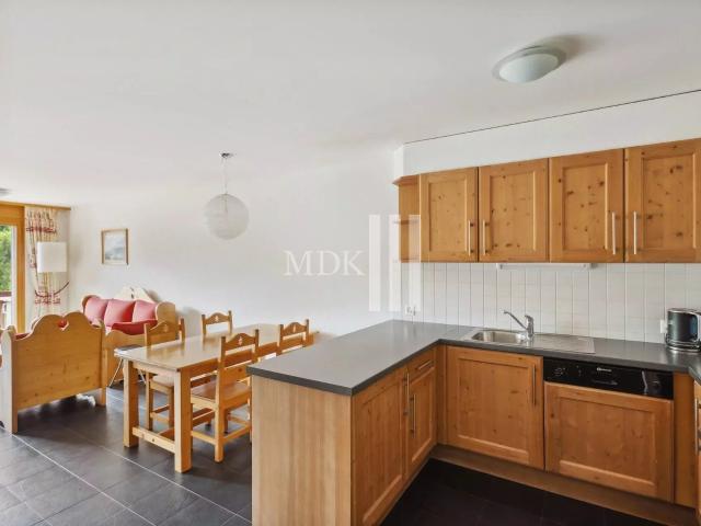 Wohnung kaufen in Val-d'Illiez, Wallis