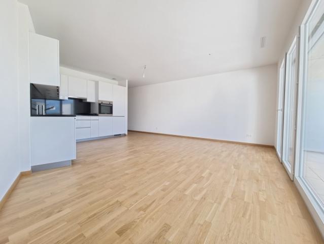 Wohnung kaufen in Ollon (VS), Waadt