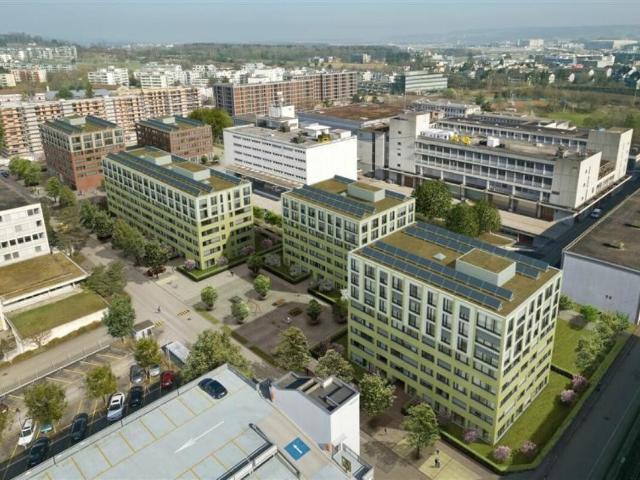 Apartment mieten in Einigen, Zürich