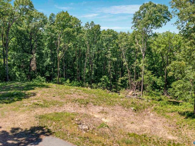 Land for sale in Flat Rock, Alabama