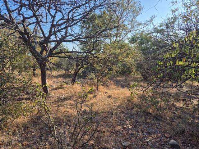 Property for sale in Mopani, Limpopo