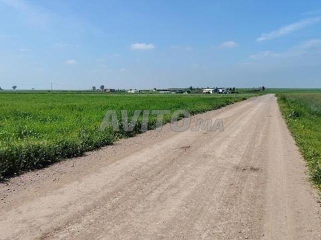 Propriété vente à Slimane, Gharb-Chrarda-Beni Hssen