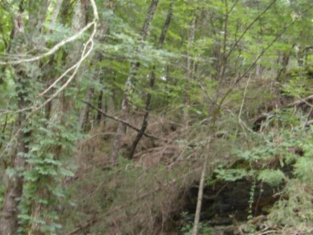 Land for sale in Tennessee