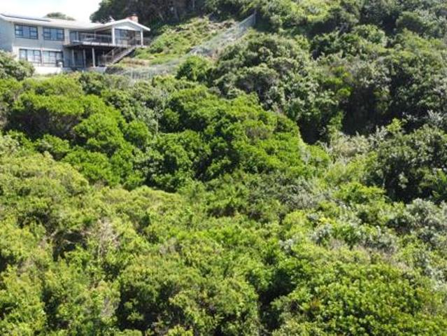 Property for sale in Bushmans River Mouth, Eastern Cape