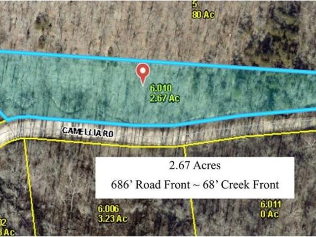 Land for sale in Gravois Mills