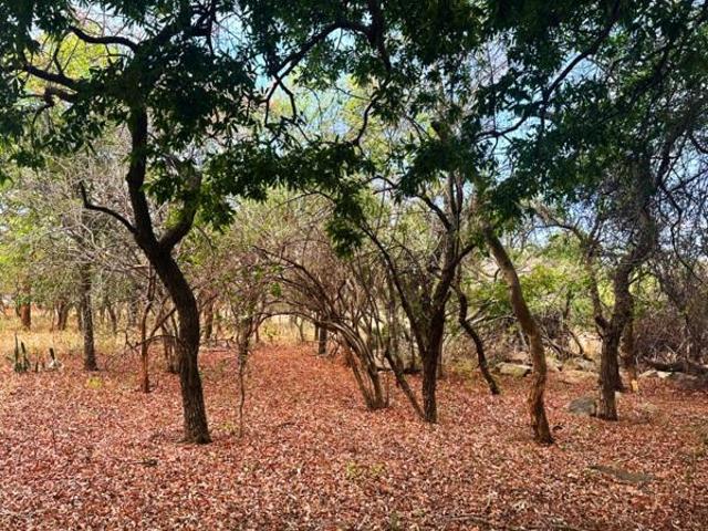 Property for sale in Mopani, Limpopo