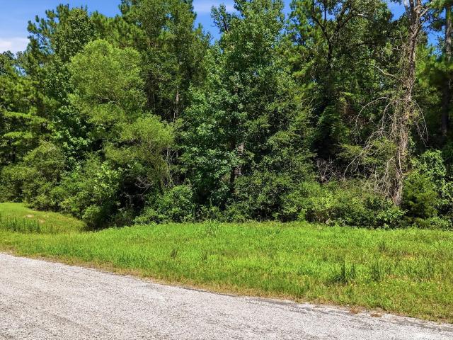 Land for sale in Walker, Texas