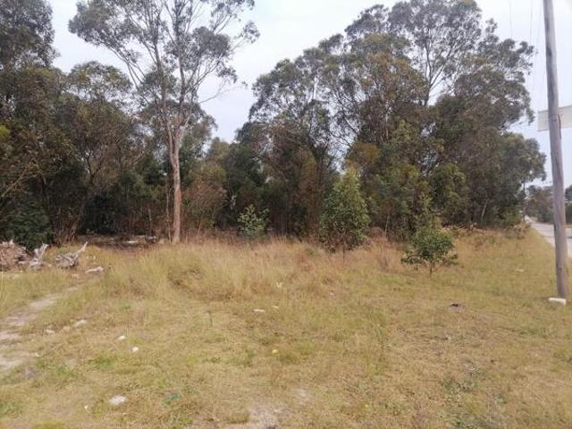Land for sale in Eastern Cape