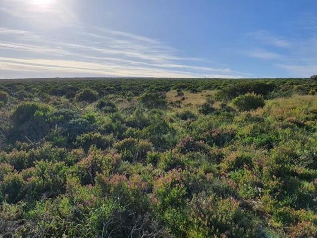 Land for sale in Western Cape