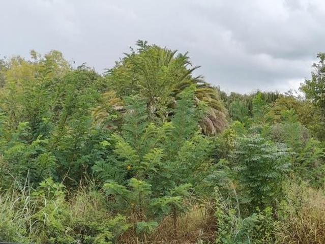 Land for sale in Centurion, Gauteng