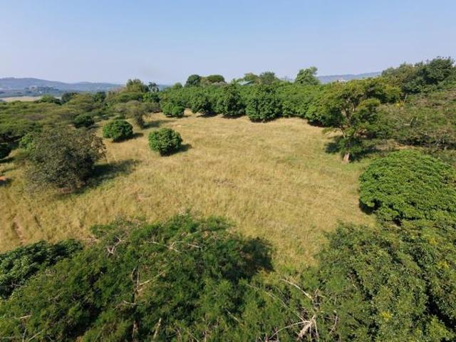 Land for sale in Mopani, Limpopo