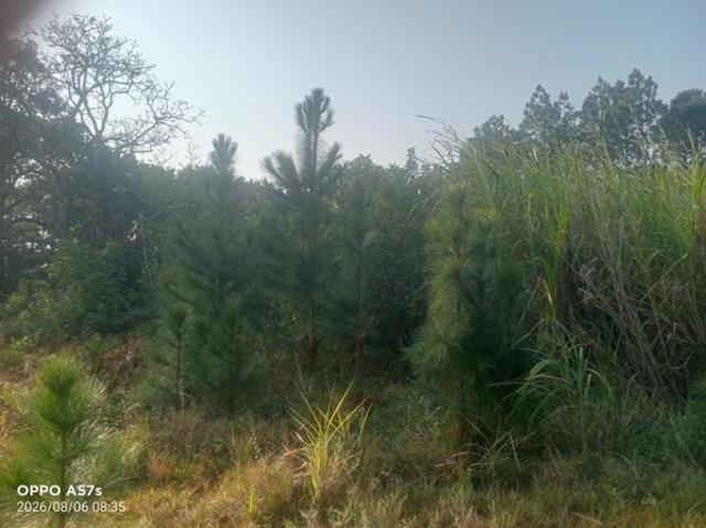 Property for sale in Ugu District Municipality, Kwazulu-natal