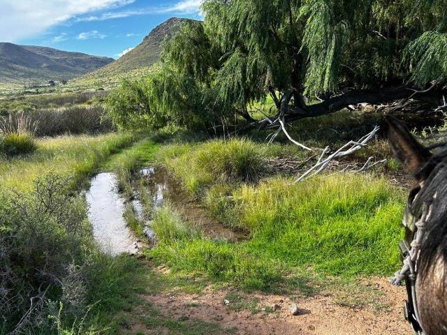 Property for sale in Cradock, Eastern Cape