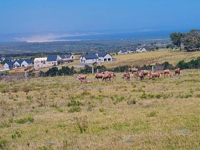 Property for sale in Cape St Francis, Eastern Cape