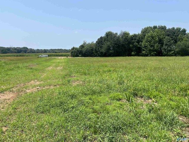 Land for sale in Ardmore, Alabama
