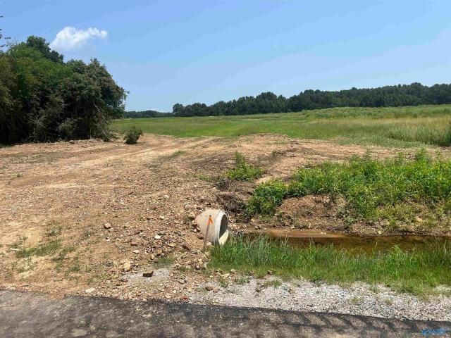 Land for sale in Ardmore, Alabama