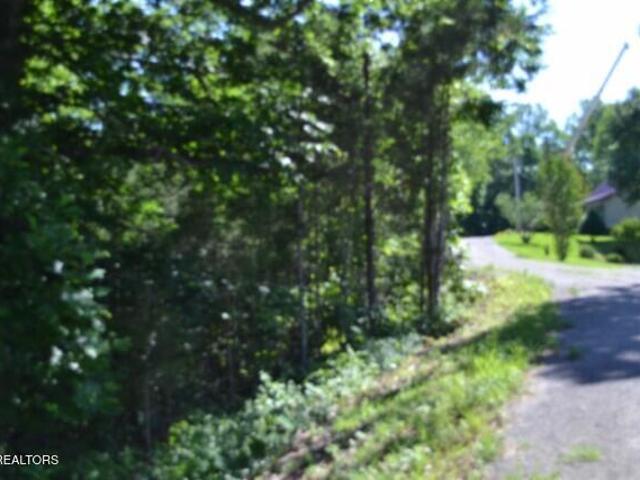 Land for sale in Burkesville, Cumberland County