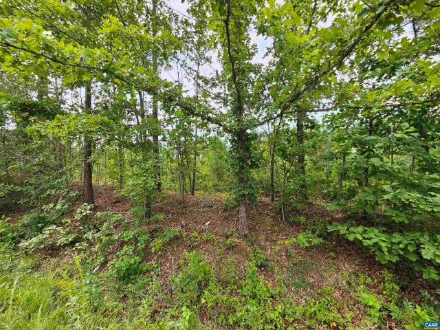 Land for sale in Virginia