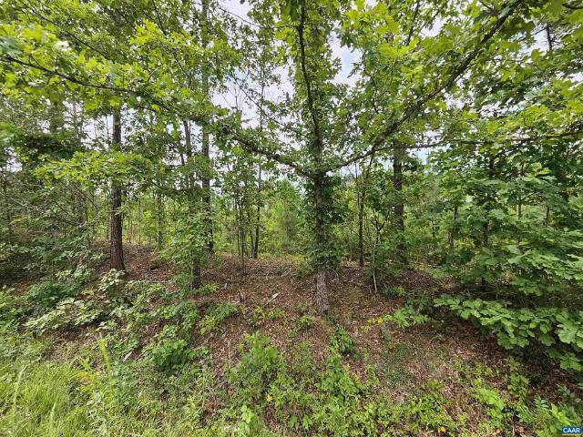 Land for sale in Virginia