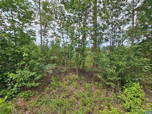 Land for sale in Virginia