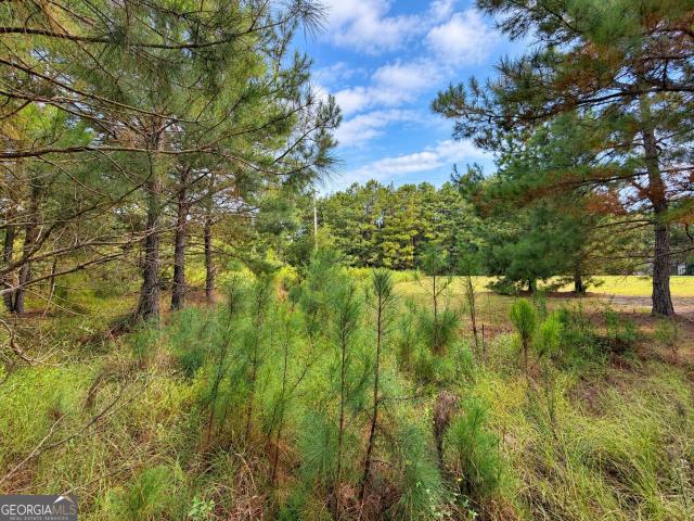 Land for sale in Tippetts, Hawkinsville
