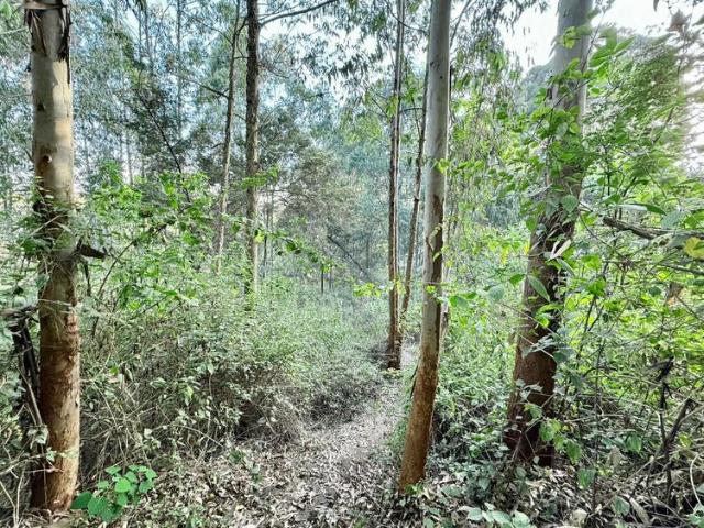 Land for sale in Kabete, Kisumu