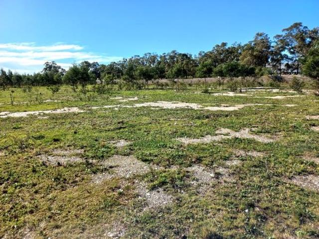 Land for sale in Eastern Cape