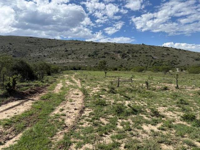 Land for sale in Eastern Cape
