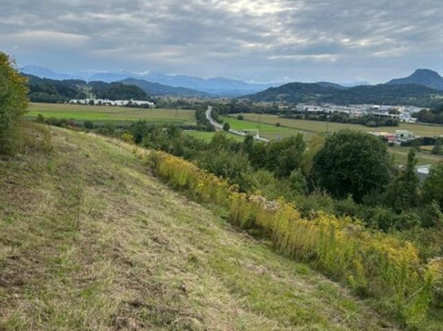 Landwirtschaft kaufen in St. Veit an der Glan, Kärnten