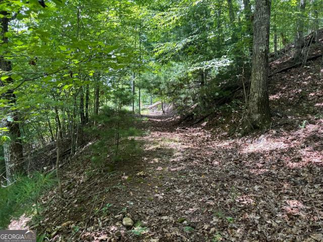 Land for sale in Hiawassee, Georgia