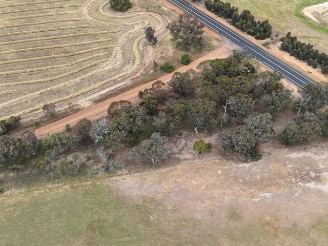 Property for sale in Kojonup, Western Australia