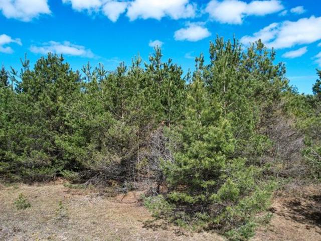 Land for sale in Cheboygan, Michigan