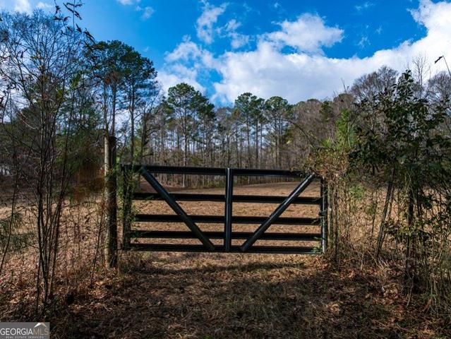 Land for sale in Shiloh, Georgia