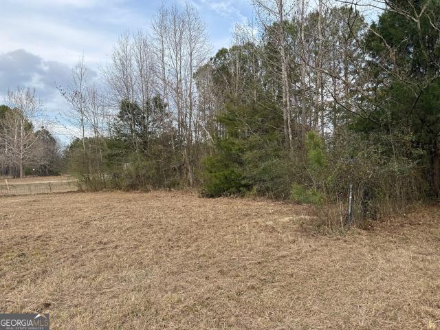 Land for sale in Shiloh, Georgia