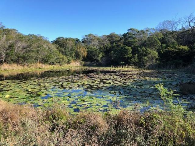 Property for sale in Cape St Francis, Eastern Cape