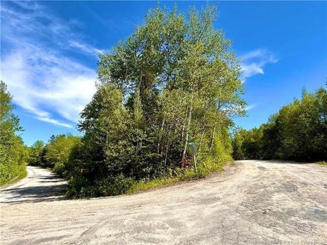 Land for sale in Miramichi Bay, New Brunswick