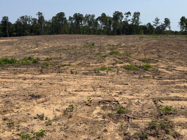Land for sale in Tennessee
