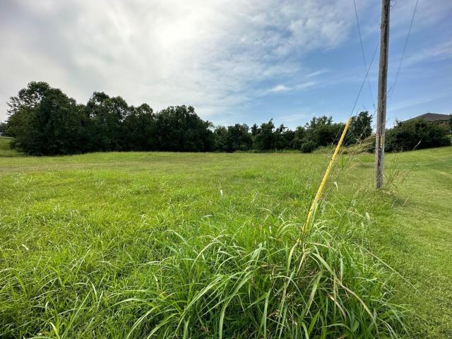 Land for sale in Neosho, Newton County