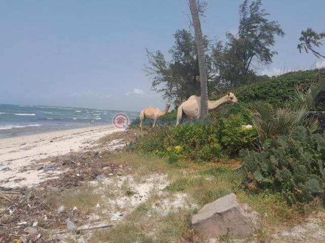 Land for sale in Nyali, Mombasa