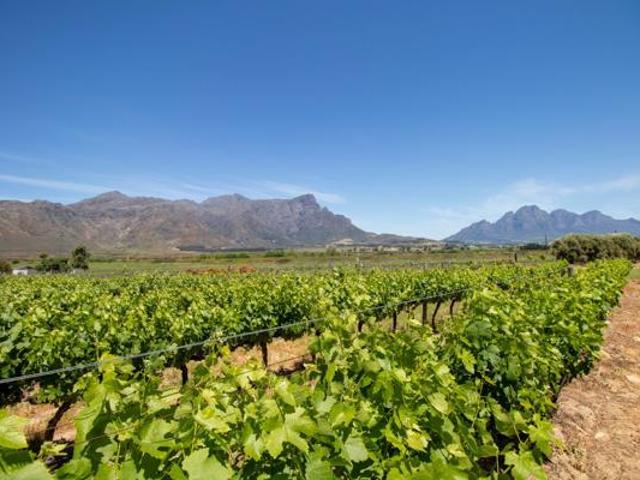 Land for sale in Durbanville, Western Cape