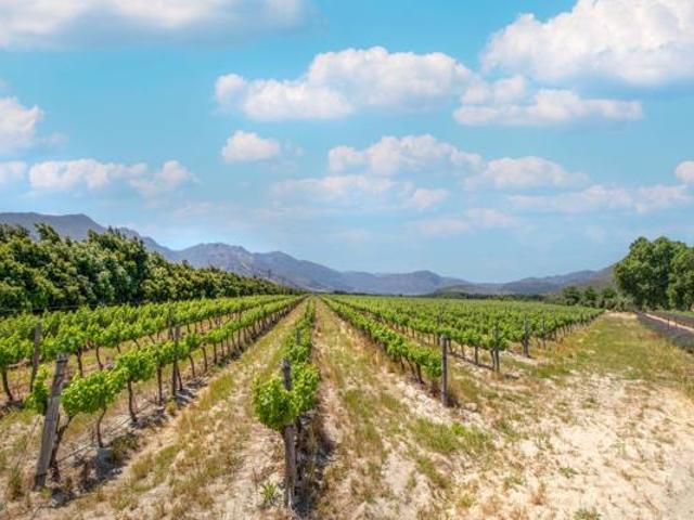 Land for sale in Durbanville, Western Cape