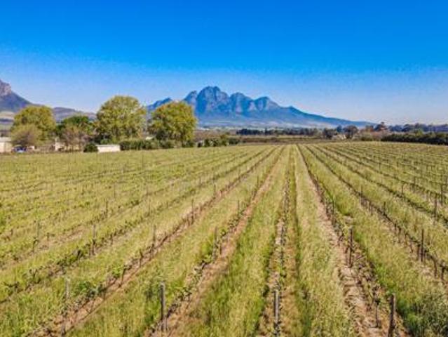 Land for sale in Bergsig, Durbanville